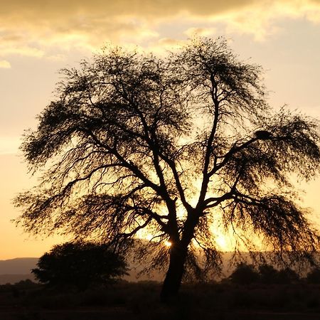 Andes Nomads Desert Camp & Lodge Σαν Πέδρο ντε Ατακάμα Εξωτερικό φωτογραφία
