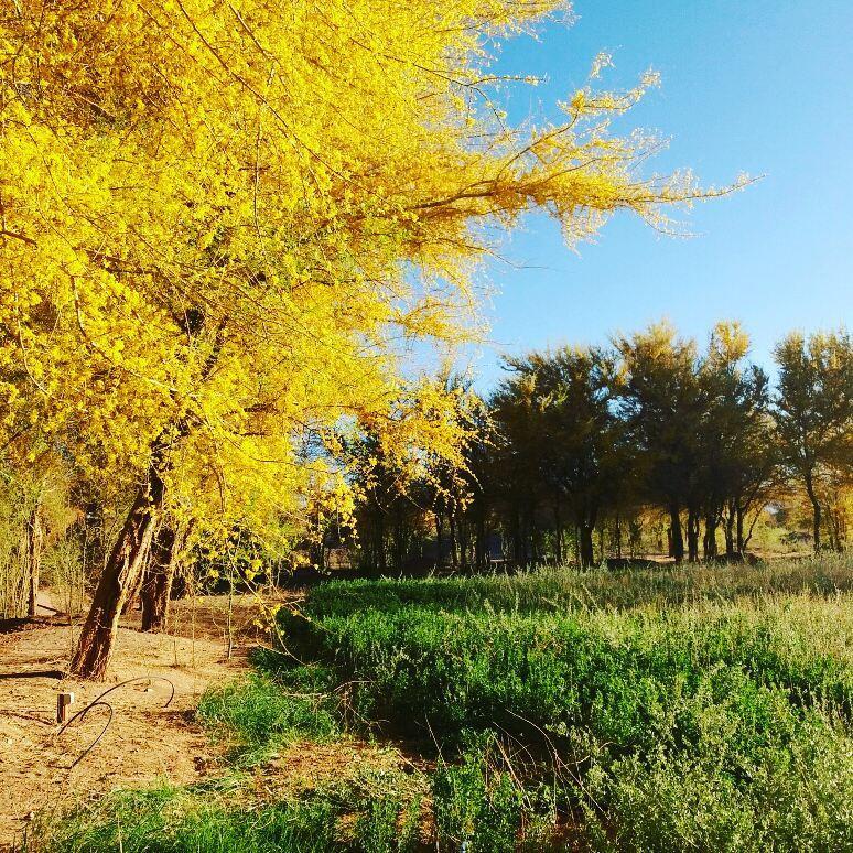 Andes Nomads Desert Camp & Lodge Σαν Πέδρο ντε Ατακάμα Εξωτερικό φωτογραφία