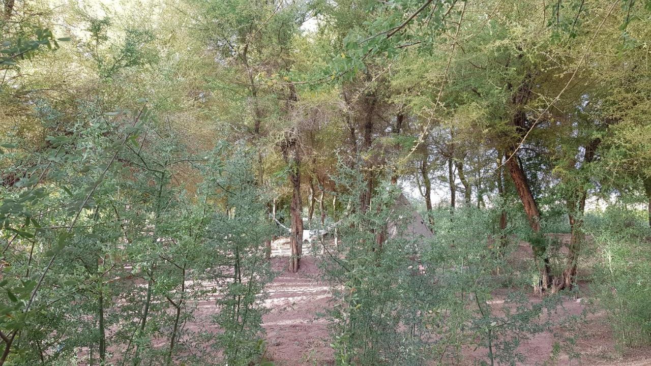 Andes Nomads Desert Camp & Lodge Σαν Πέδρο ντε Ατακάμα Εξωτερικό φωτογραφία
